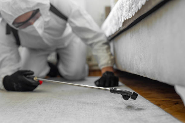 Professional Bed Bug Control technician working in Trafalgar, IN
